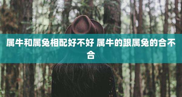 属牛和属兔相配好不好 属牛的跟属兔的合不合