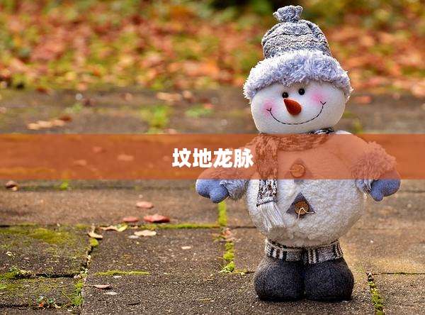 坟地龙脉