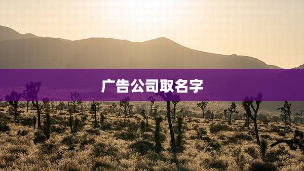 广告公司取名字