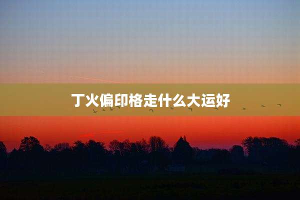 丁火偏印格走什么大运好