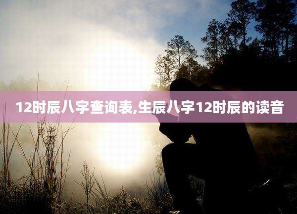 12时辰八字查询表,生辰八字12时辰的读音