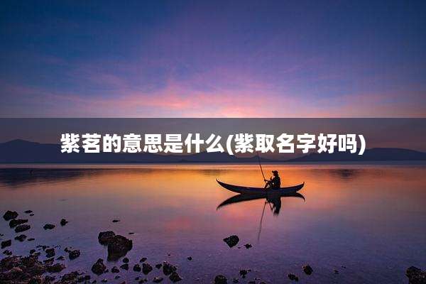 紫茗的意思是什么(紫取名字好吗)