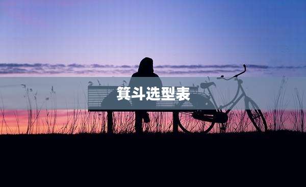 箕斗选型表