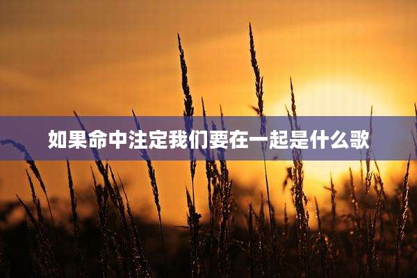 如果命中注定我们要在一起是什么歌