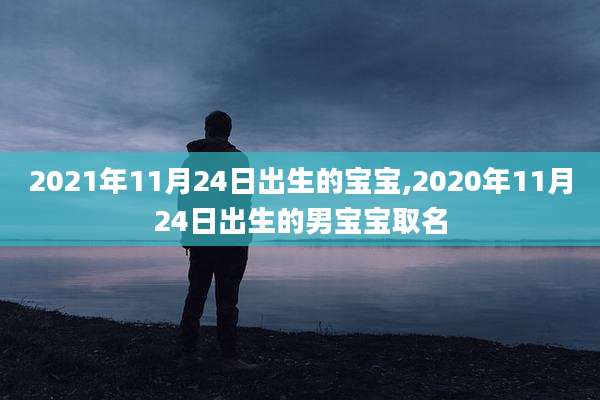 2021年11月24日出生的宝宝,2020年11月24日出生的男宝宝取名