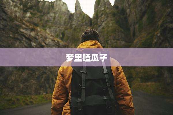 梦里嗑瓜子