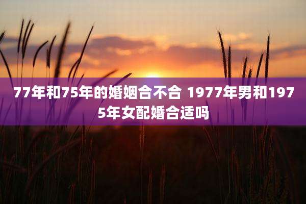 77年和75年的婚姻合不合 1977年男和1975年女配婚合适吗