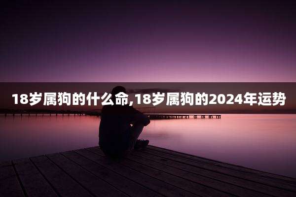 18岁属狗的什么命,18岁属狗的2024年运势