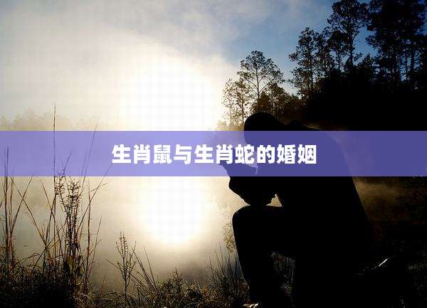 生肖鼠与生肖蛇的婚姻