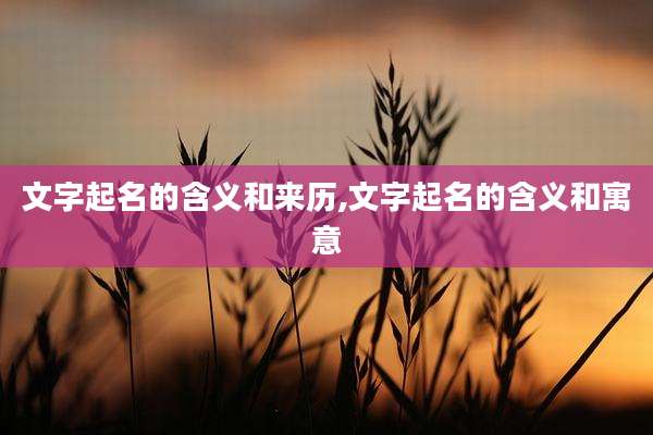 文字起名的含义和来历,文字起名的含义和寓意