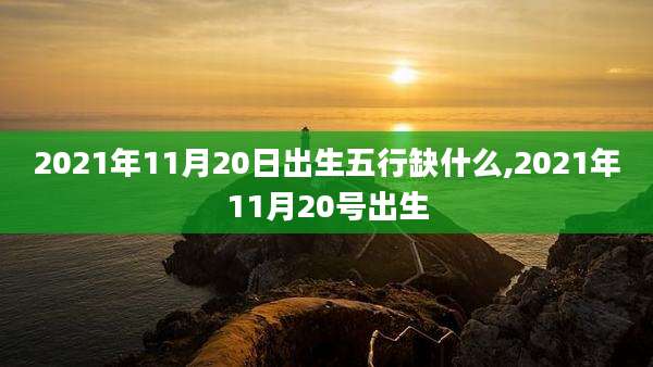 2021年11月20日出生五行缺什么,2021年11月20号出生