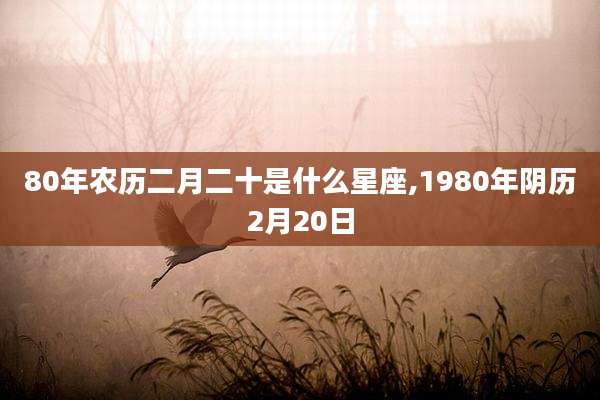 80年农历二月二十是什么星座,1980年阴历2月20日