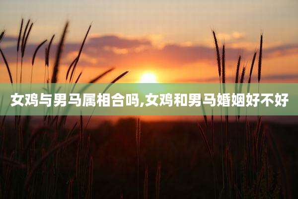 女鸡与男马属相合吗,女鸡和男马婚姻好不好