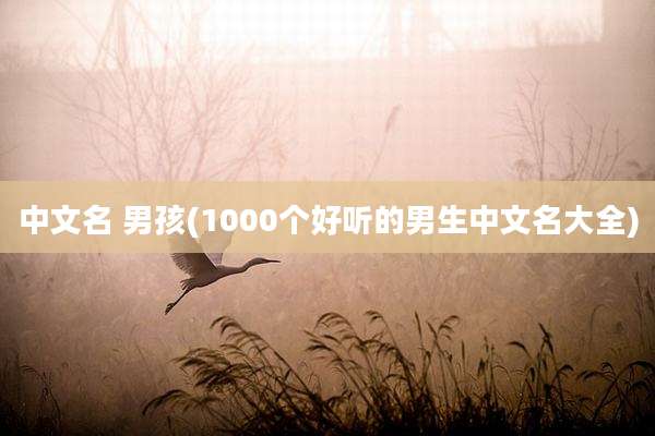 中文名 男孩(1000个好听的男生中文名大全)