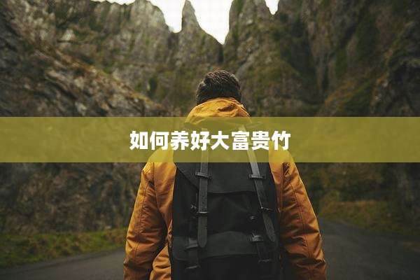 如何养好大富贵竹