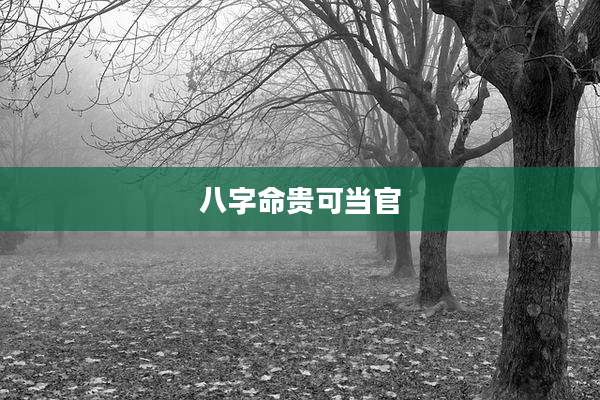 八字命贵可当官