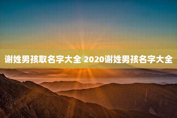 谢姓男孩取名字大全 2020谢姓男孩名字大全