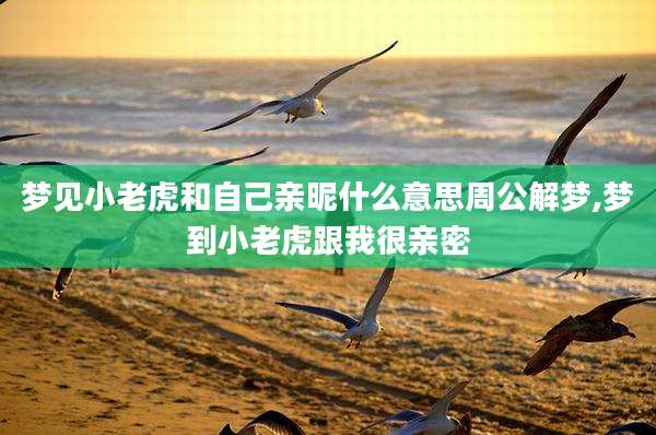 梦见小老虎和自己亲昵什么意思周公解梦,梦到小老虎跟我很亲密