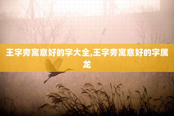 王字旁寓意好的字大全,王字旁寓意好的字属龙