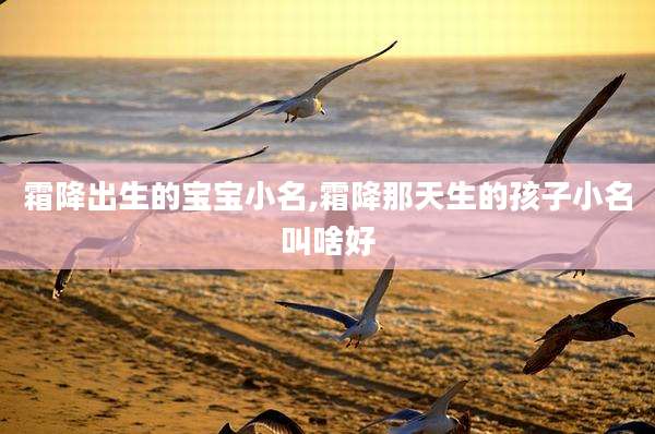 霜降出生的宝宝小名,霜降那天生的孩子小名叫啥好