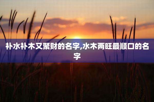 补水补木又聚财的名字,水木两旺最顺口的名字
