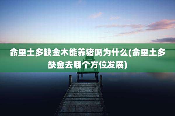 命里土多缺金木能养猪吗为什么(命里土多缺金去哪个方位发展)