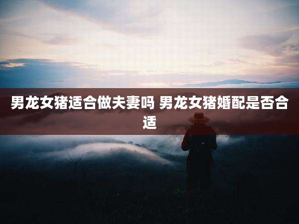 男龙女猪适合做夫妻吗 男龙女猪婚配是否合适