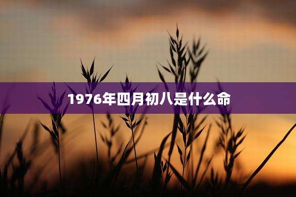 1976年四月初八是什么命