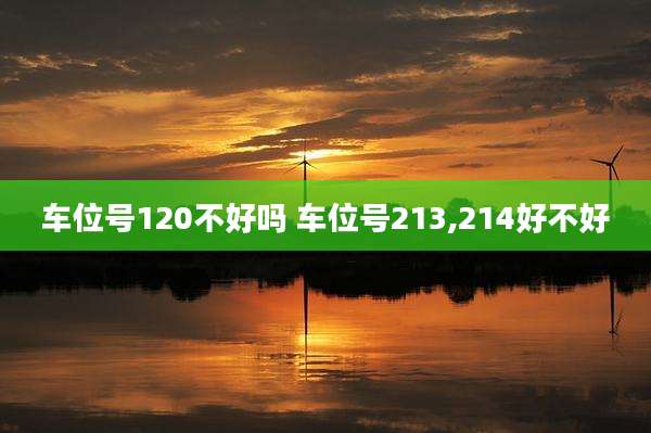 车位号120不好吗 车位号213,214好不好