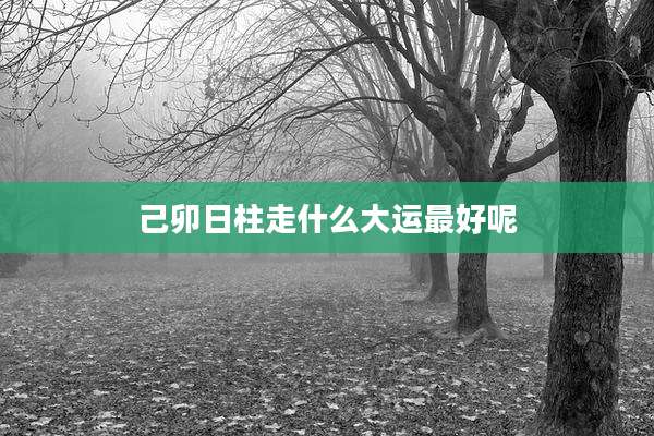 己卯日柱走什么大运最好呢
