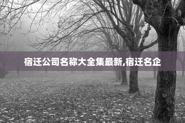 宿迁公司名称大全集最新,宿迁名企