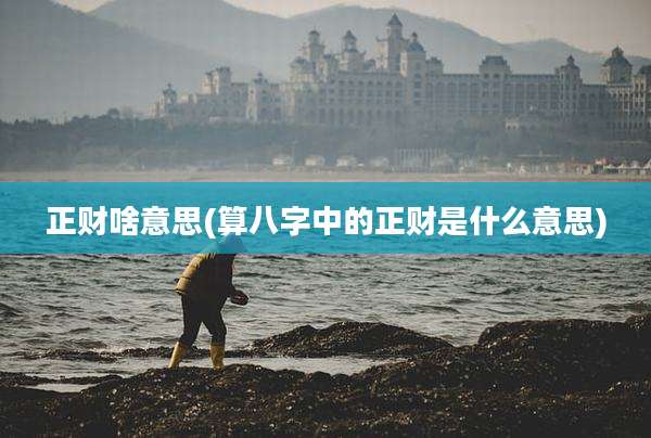 正财啥意思(算八字中的正财是什么意思)