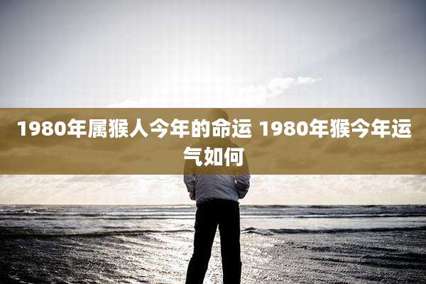 1980年属猴人今年的命运 1980年猴今年运气如何