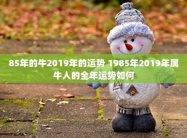 85年的牛2019年的运势 1985年2019年属牛人的全年运势如何