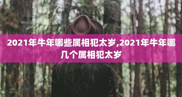 2021年牛年哪些属相犯太岁,2021年牛年哪几个属相犯太岁