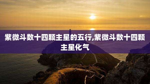 紫微斗数十四颗主星的五行,紫微斗数十四颗主星化气