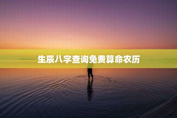 生辰八字查询免费算命农历