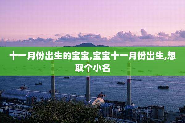 十一月份出生的宝宝,宝宝十一月份出生,想取个小名