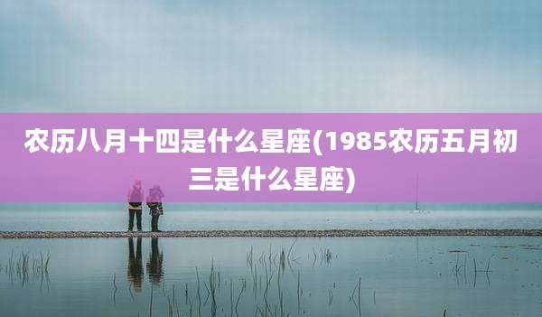 农历八月十四是什么星座(1985农历五月初三是什么星座)