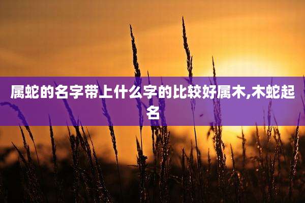 属蛇的名字带上什么字的比较好属木,木蛇起名