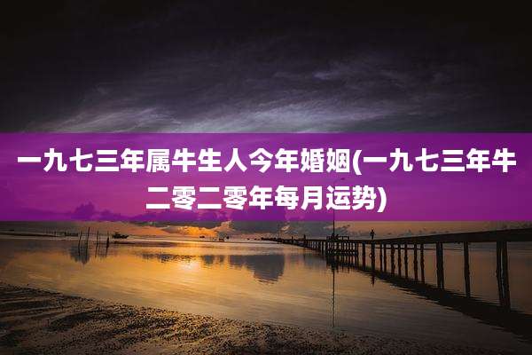 一九七三年属牛生人今年婚姻(一九七三年牛二零二零年每月运势)