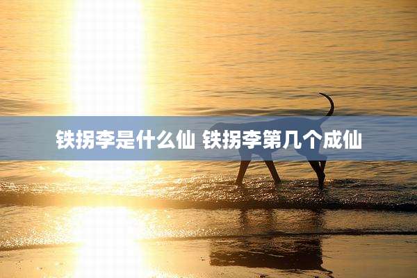 铁拐李是什么仙 铁拐李第几个成仙