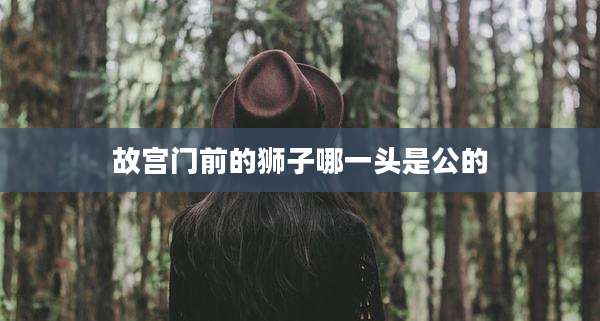 故宫门前的狮子哪一头是公的