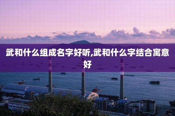 武和什么组成名字好听,武和什么字结合寓意好
