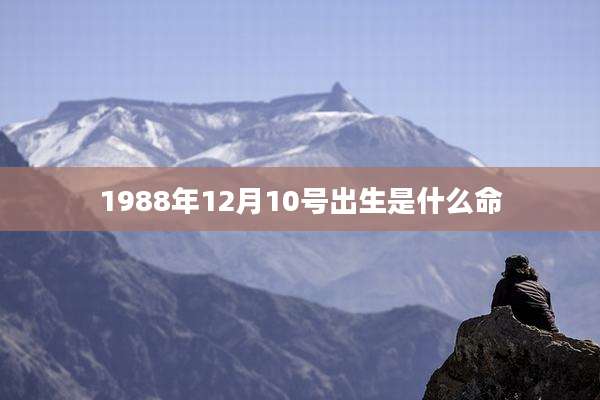 1988年12月10号出生是什么命