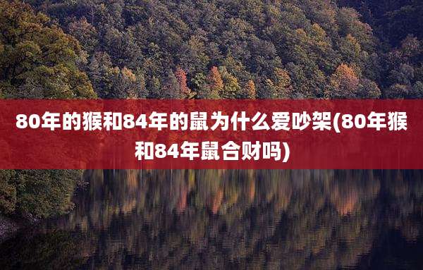 80年的猴和84年的鼠为什么爱吵架(80年猴和84年鼠合财吗)