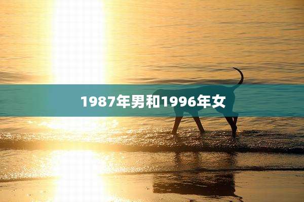 1987年男和1996年女