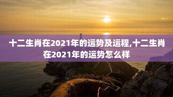 十二生肖在2021年的运势及运程,十二生肖在2021年的运势怎么样