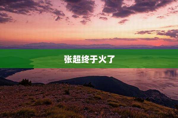 张超终于火了