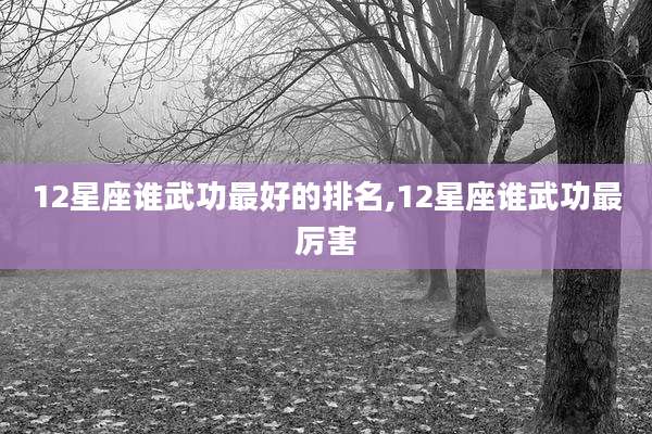 12星座谁武功最好的排名,12星座谁武功最厉害